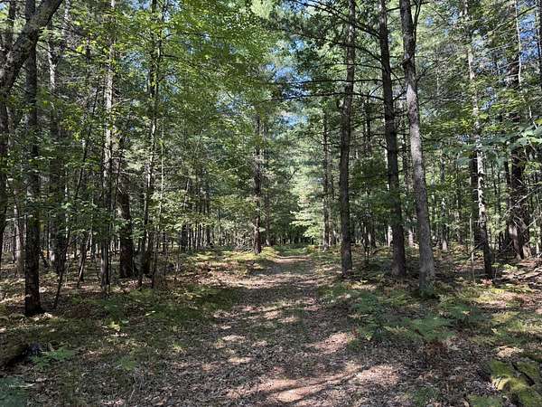 100 Acres of Recreational Land for Sale in Irons, Michigan