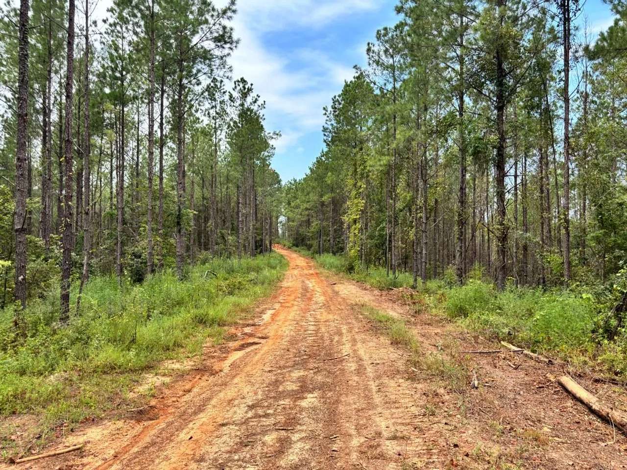 313 Acres of Land for Sale in Shubuta, Mississippi