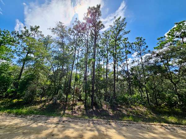 0.43 Acres of Residential Land for Sale in Interlachen, Florida