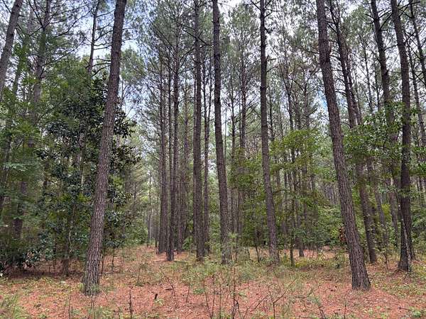 62.2 Acres of Land for Sale in Gable, South Carolina