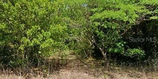 0.24 Acres of Residential Land for Sale in Dunnellon, Florida