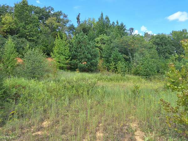5 Acres of Residential Land for Sale in Mount Juliet, Tennessee