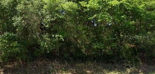 0.24 Acres of Residential Land for Sale in Dunnellon, Florida
