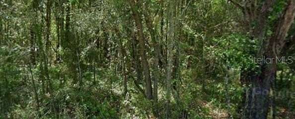 0.24 Acres of Residential Land for Sale in Dunnellon, Florida