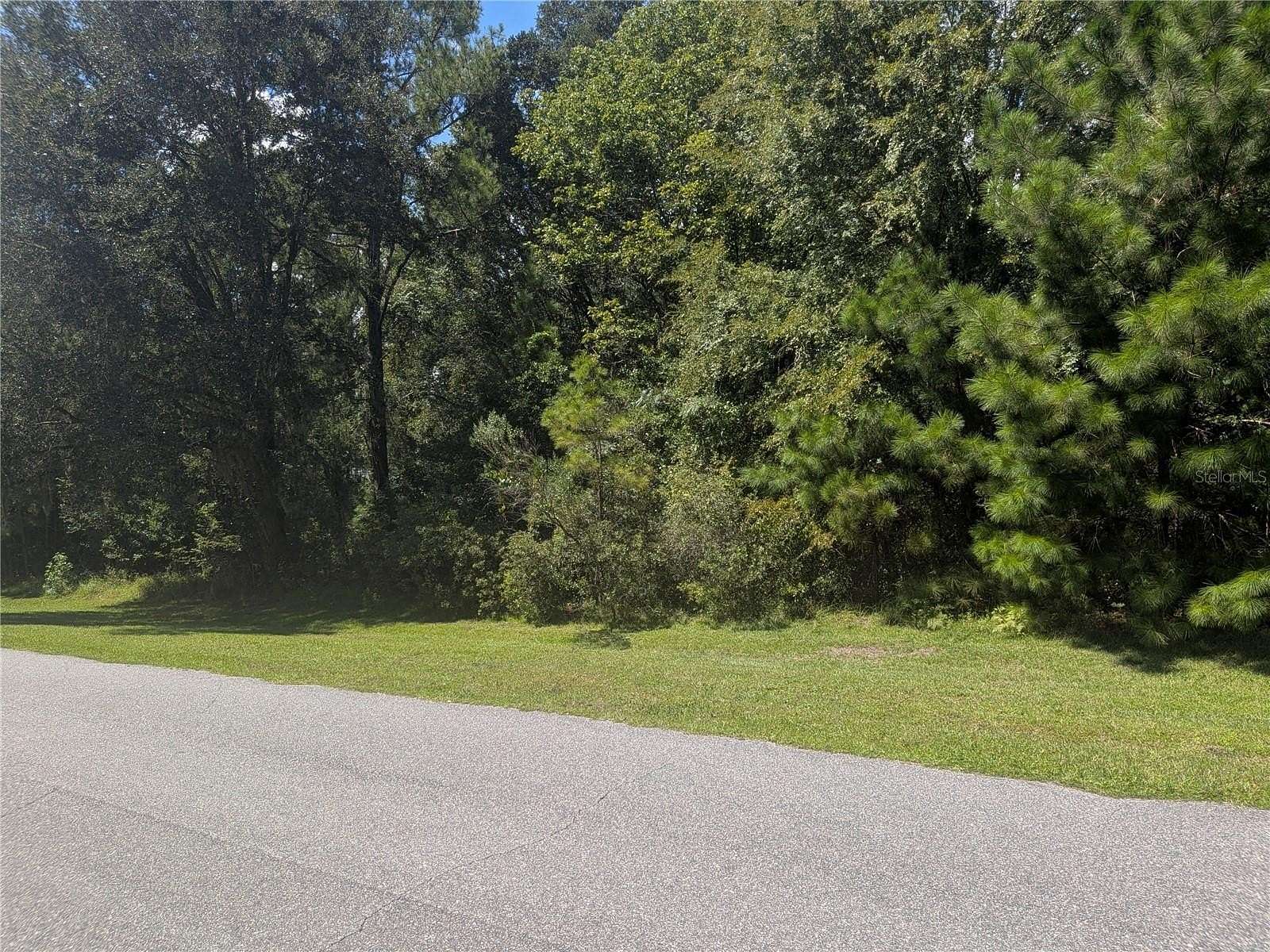 5.33 Acres of Land for Sale in Williston, Florida
