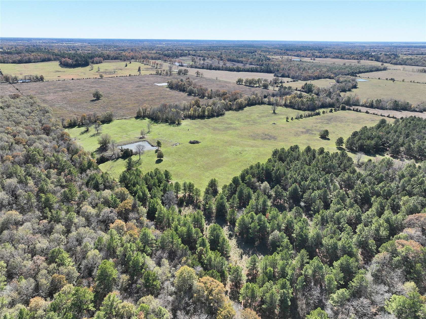 170 Acres of Land for Sale in Crockett, Texas