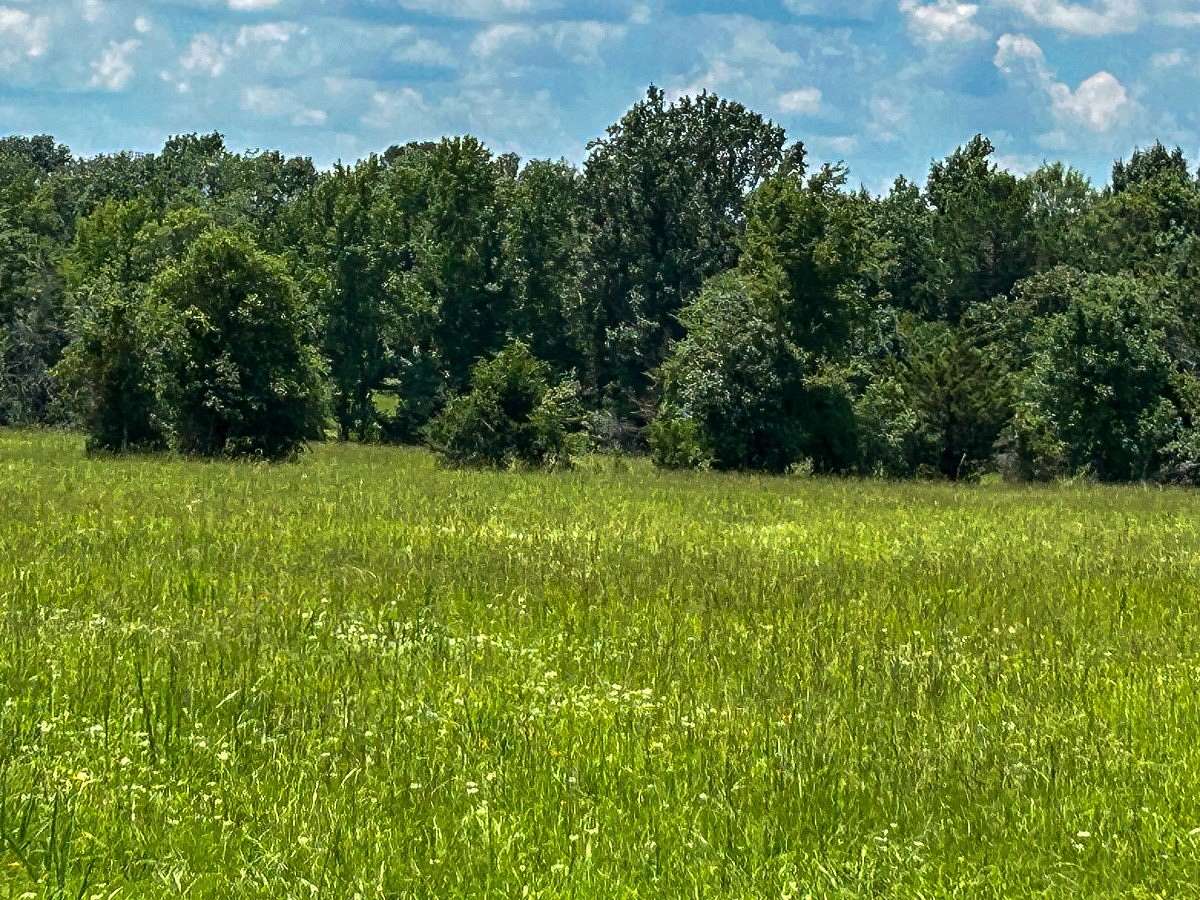 50 Acres of Land for Sale in Crockett, Texas
