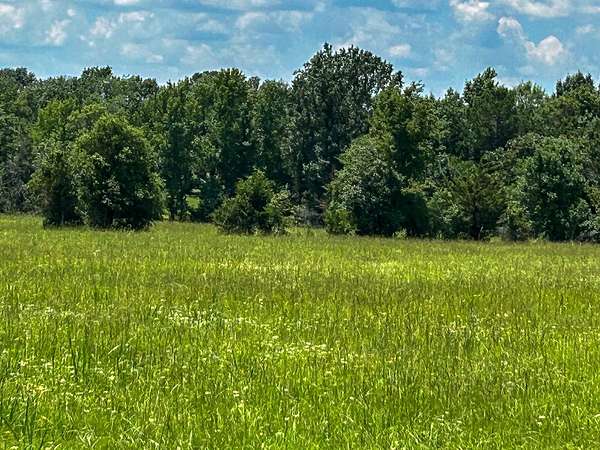 50 Acres of Land for Sale in Crockett, Texas