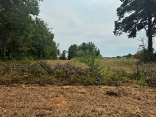 1.35 Acres of Residential Land for Sale in Carthage, Texas