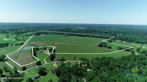 126 Acres of Agricultural & Residential Land for Sale in Perkinston, Mississippi