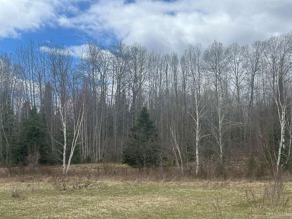 10 Acres of Recreational & Residential Land for Sale in Trout Creek, Michigan