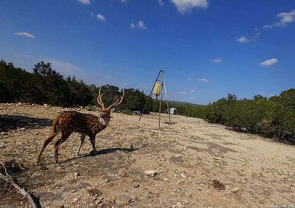 140 Acres of Recreational Land for Sale in Rocksprings, Texas