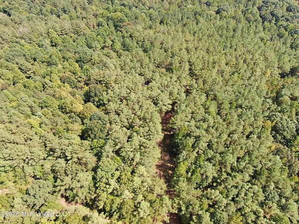 63 Acres of Recreational & Residential Land for Sale in Bolivar, Tennessee