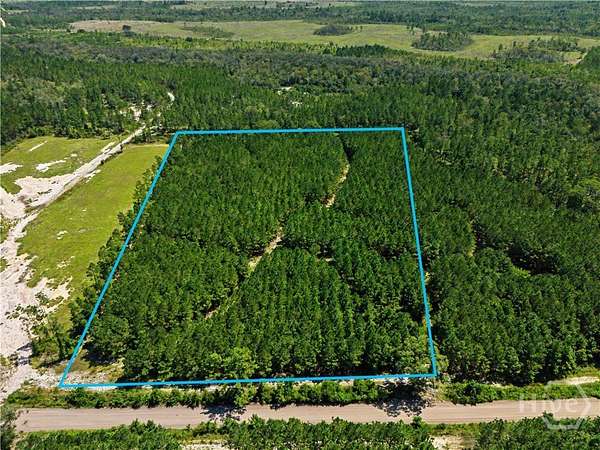 15.6 Acres of Land for Sale in Pembroke, Georgia