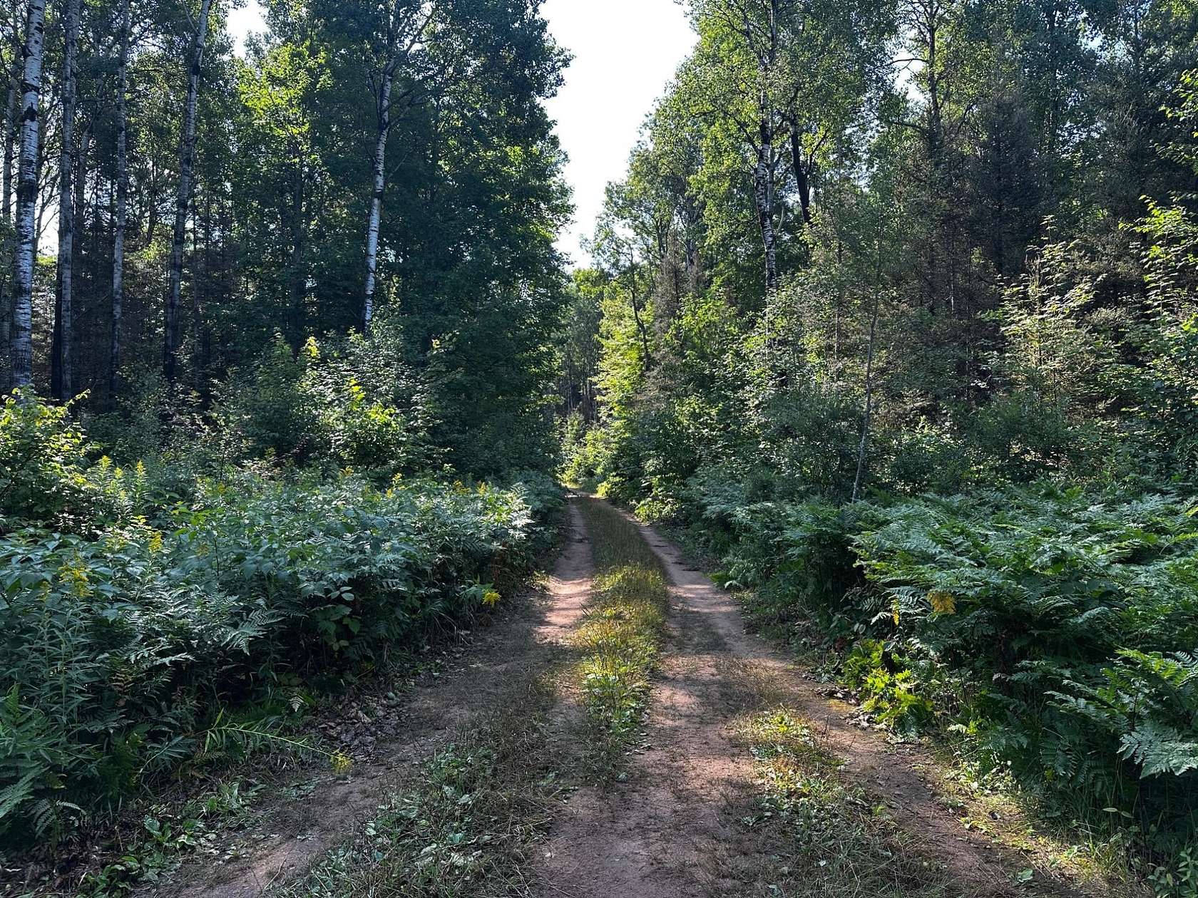 7.55 Acres of Land for Sale in Watersmeet, Michigan