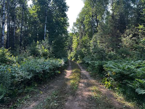 7.55 Acres of Land for Sale in Watersmeet, Michigan