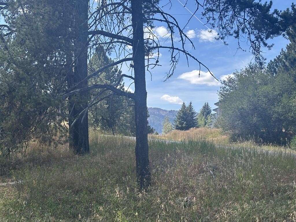 0.23 Acres of Land for Sale in Cascade, Idaho