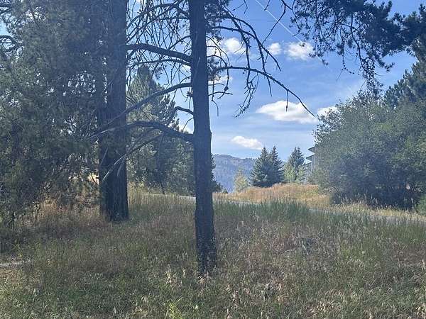 0.23 Acres of Land for Sale in Cascade, Idaho