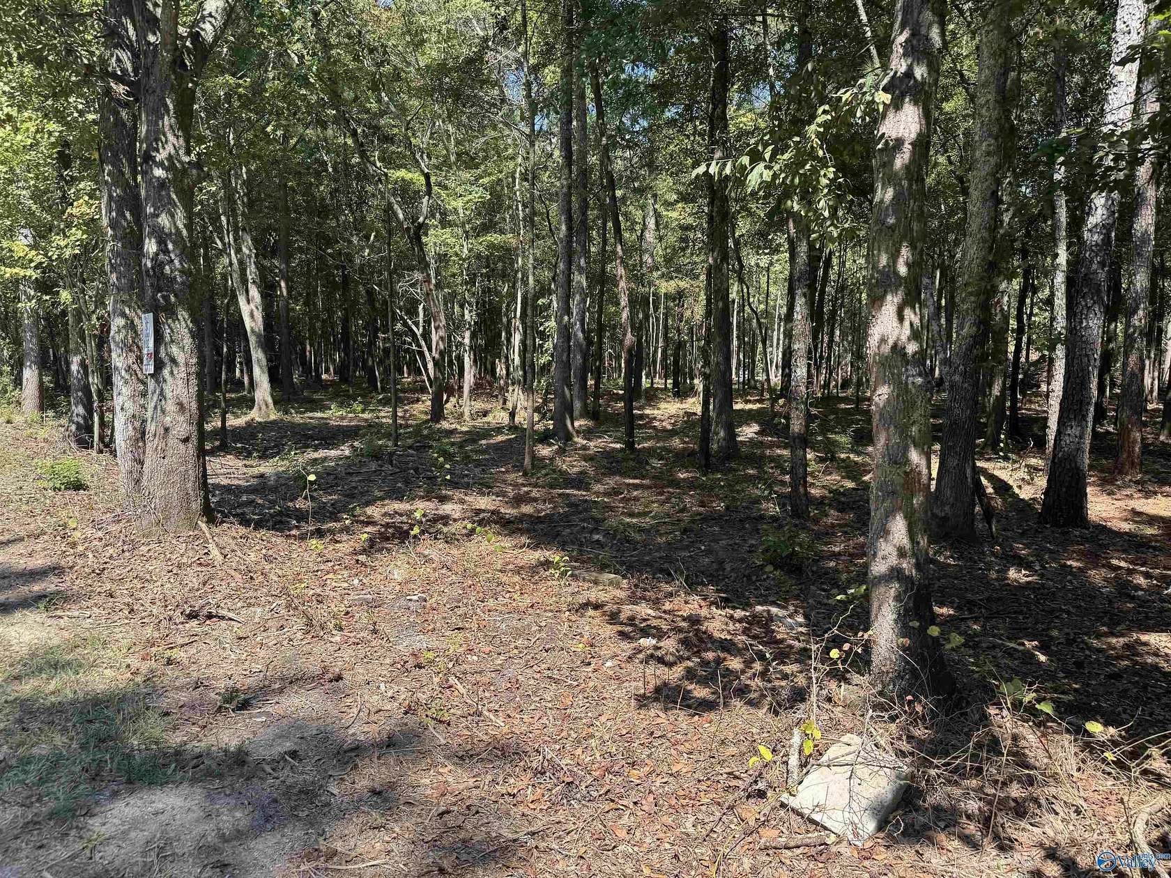 0.39 Acres of Land for Sale in Centre, Alabama