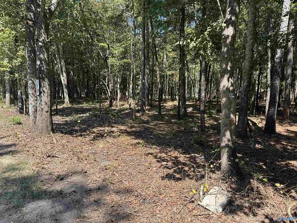 0.39 Acres of Land for Sale in Centre, Alabama