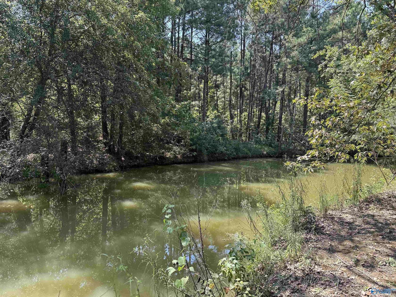 0.11 Acres of Land for Sale in Centre, Alabama