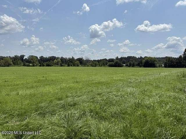 14 Acres of Land for Sale in Forest, Mississippi