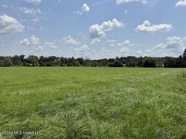 14 Acres of Land for Sale in Forest, Mississippi