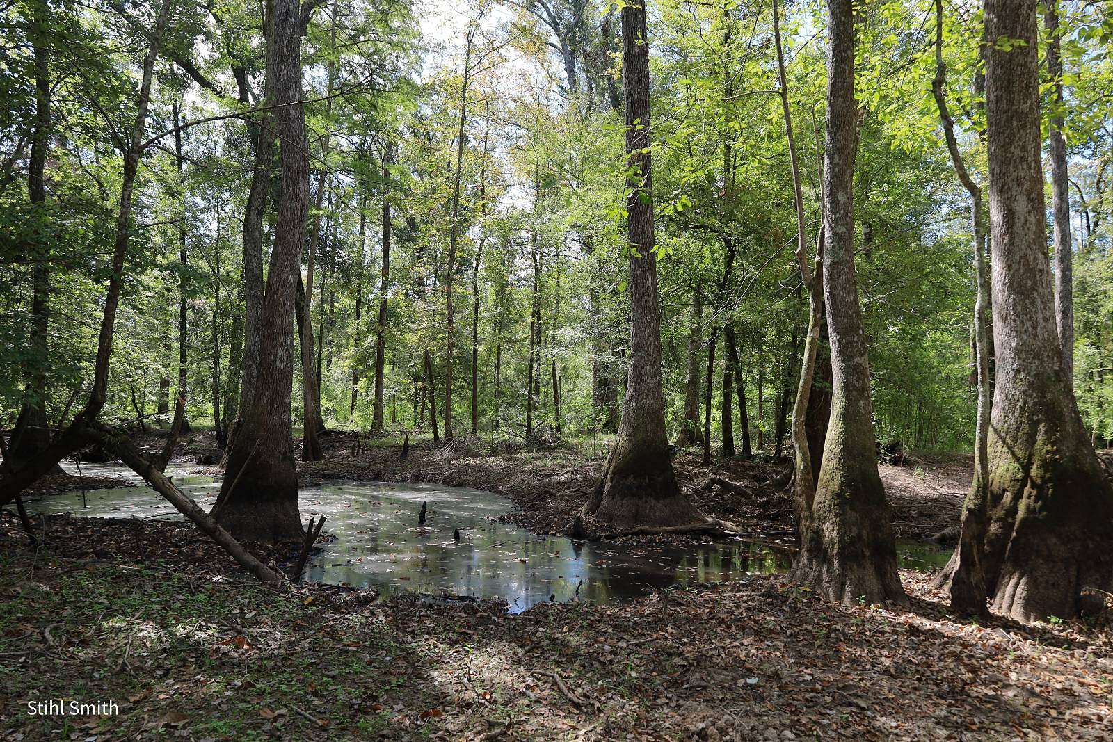 272 Acres of Recreational Land for Sale in Grayson, Louisiana
