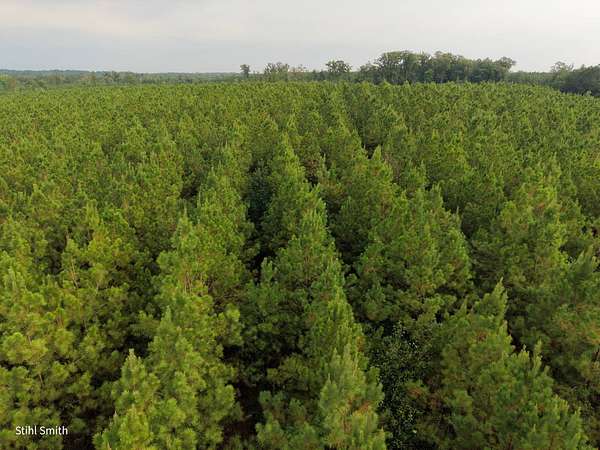 18 Acres of Land for Sale in Sikes, Louisiana