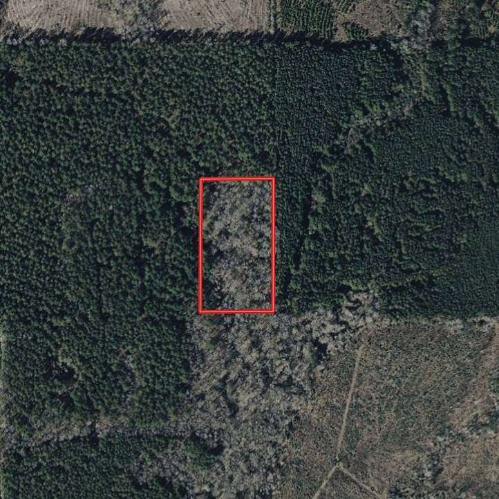5 Acres of Land for Sale in Sikes, Louisiana