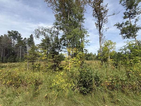 0.41 Acres of Residential Land for Sale in Lachine, Michigan