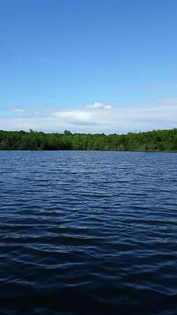 3.33 Acres of Residential Land for Sale in Marshfield, Missouri