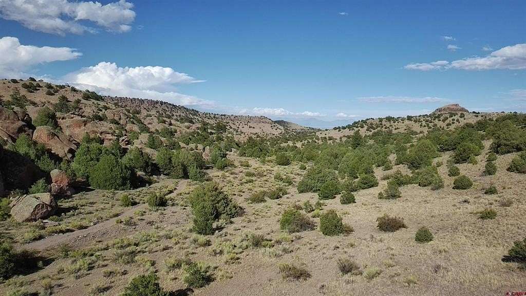 124 Acres of Recreational & Residential Land for Sale in Monte Vista, Colorado
