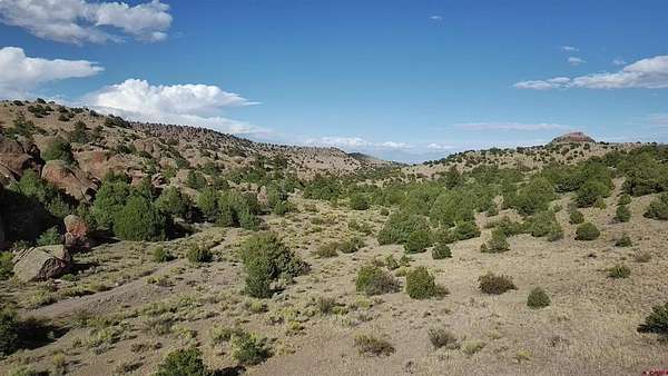 124 Acres of Recreational & Residential Land for Sale in Monte Vista, Colorado
