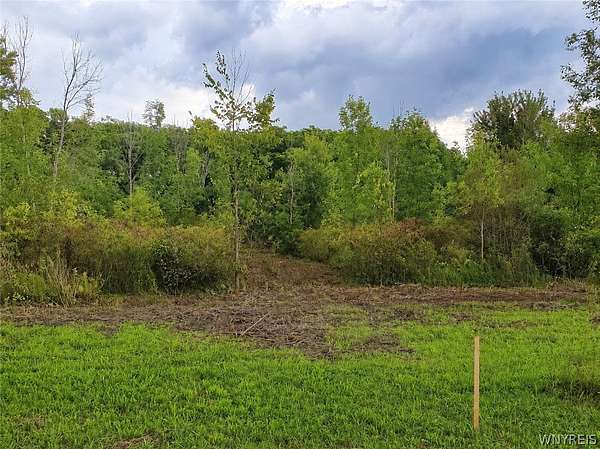 7.52 Acres of Residential Land for Sale in Clarence, New York