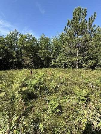 5 Acres of Residential Land for Sale in Lewiston, Michigan