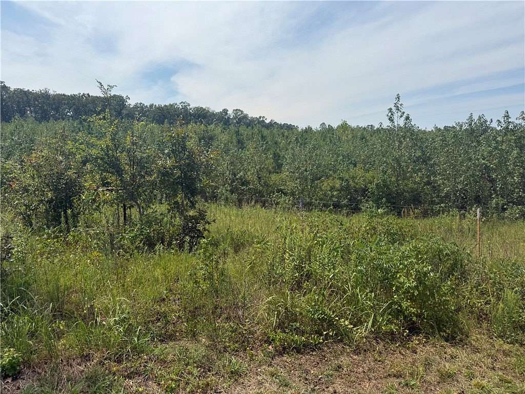 30 Acres of Recreational & Residential Land for Sale in Dover, Arkansas