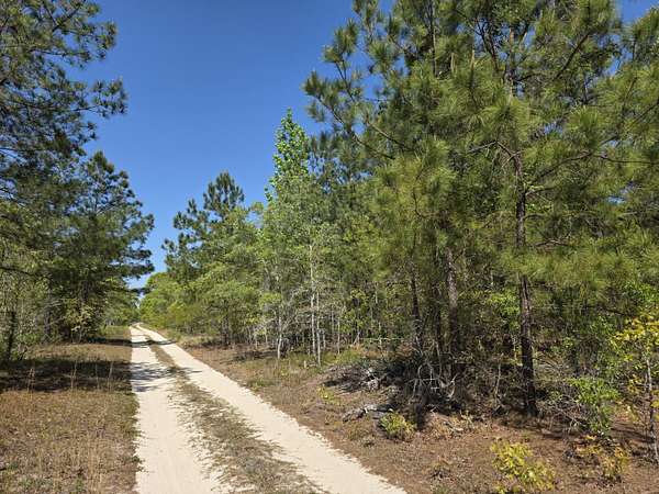 2 Acres of Residential Land for Sale in Williston, South Carolina