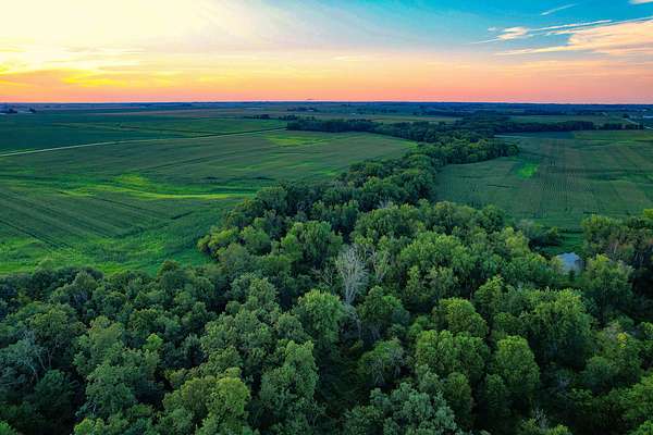 165 Acres of Land for Sale in Independence, Iowa
