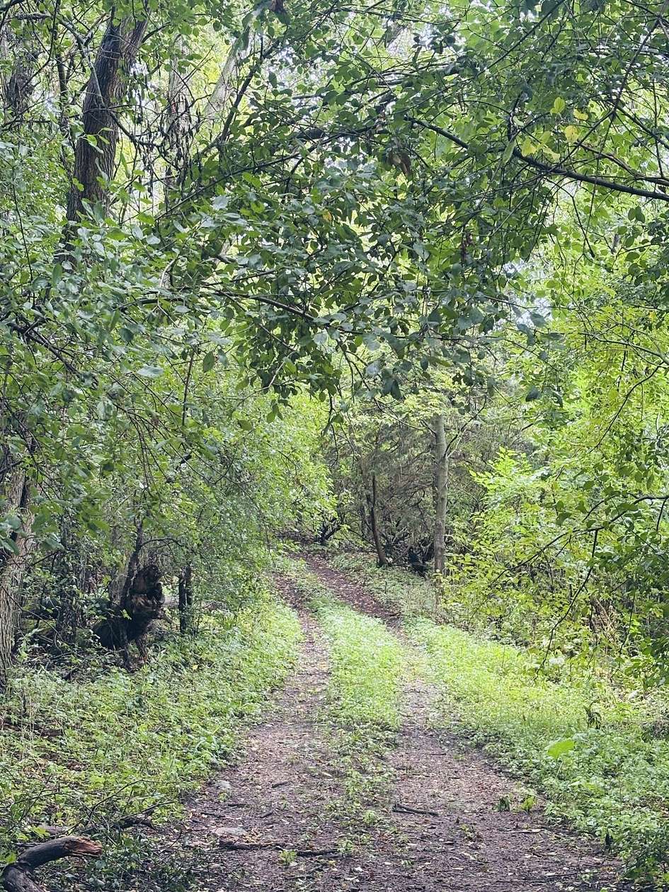 40 Acres of Land for Sale in Eagle, Wisconsin