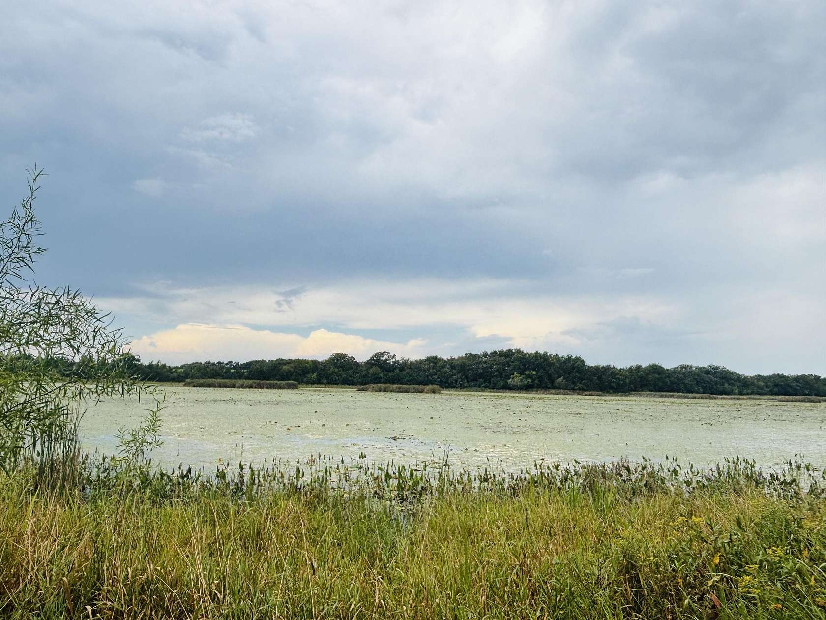 40 Acres of Land for Sale in Eagle, Wisconsin