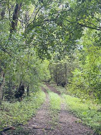 40 Acres of Land for Sale in Eagle, Wisconsin