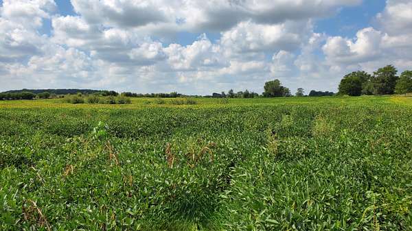 47.1 Acres of Agricultural Land for Sale in Rensselaer, Indiana