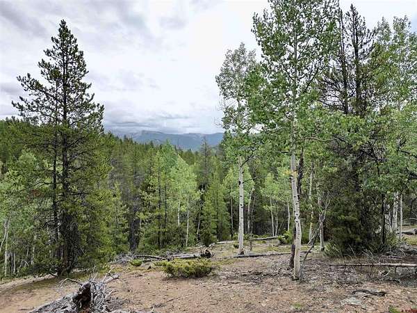 10.3 Acres of Land for Sale in Pitkin, Colorado