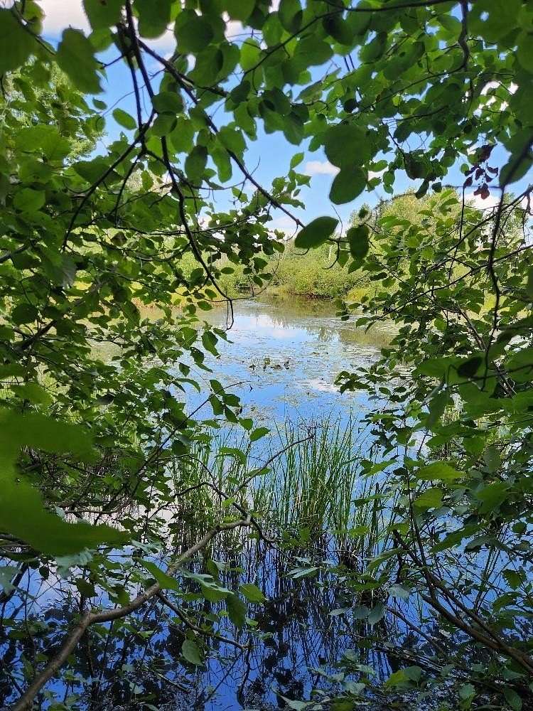 3 Acres of Residential Land for Sale in Phillips, Wisconsin