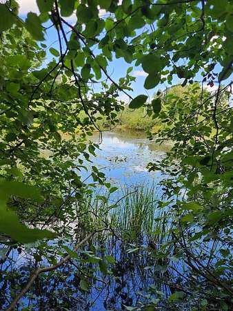 3 Acres of Residential Land for Sale in Phillips, Wisconsin