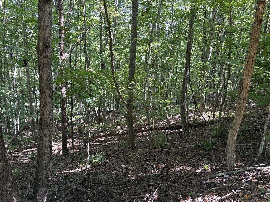 1 Acre of Residential Land for Sale in Warne, North Carolina