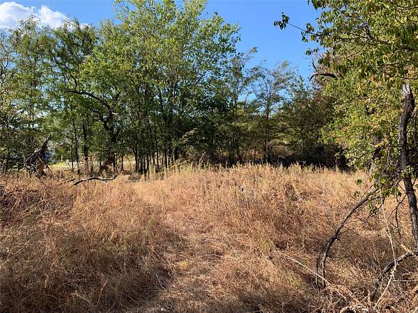 0.22 Acres of Residential Land for Sale in Bridgeport, Texas