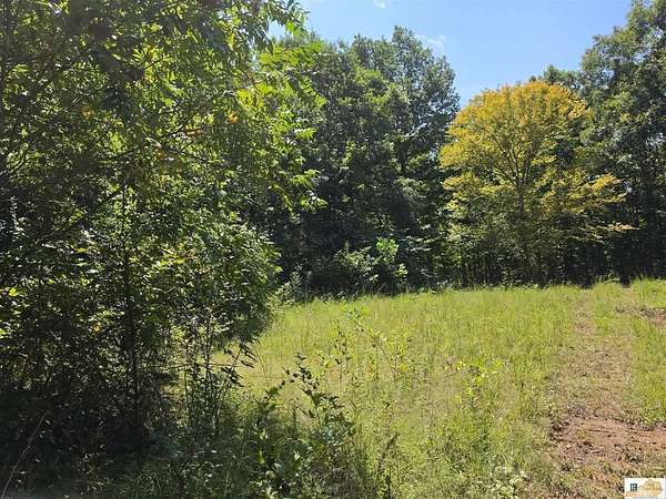 106 Acres of Recreational Land for Sale in Edmonton, Kentucky