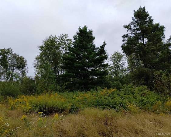 20 Acres of Recreational & Residential Land for Sale in Rock, Michigan